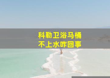 科勒卫浴马桶不上水咋回事