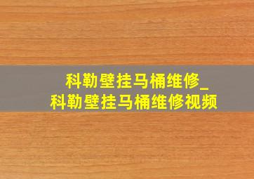 科勒壁挂马桶维修_科勒壁挂马桶维修视频