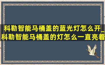 科勒智能马桶盖的蓝光灯怎么开_科勒智能马桶盖的灯怎么一直亮着