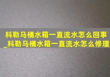 科勒马桶水箱一直流水怎么回事_科勒马桶水箱一直流水怎么修理