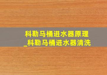 科勒马桶进水器原理_科勒马桶进水器清洗