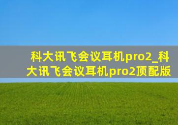 科大讯飞会议耳机pro2_科大讯飞会议耳机pro2顶配版