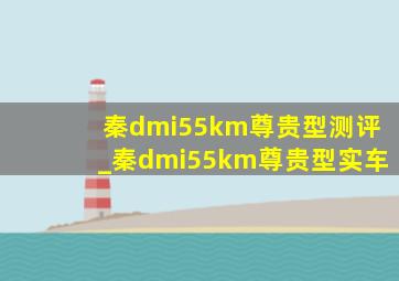 秦dmi55km尊贵型测评_秦dmi55km尊贵型实车