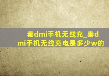 秦dmi手机无线充_秦dmi手机无线充电是多少w的