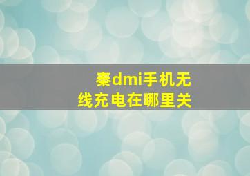 秦dmi手机无线充电在哪里关