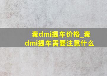 秦dmi提车价格_秦dmi提车需要注意什么