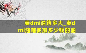 秦dmi油箱多大_秦dmi油箱要加多少钱的油