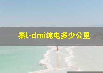 秦l-dmi纯电多少公里