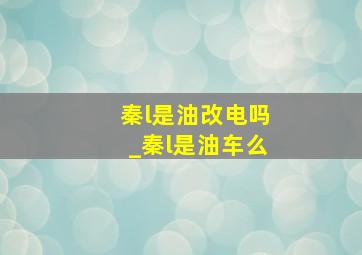 秦l是油改电吗_秦l是油车么