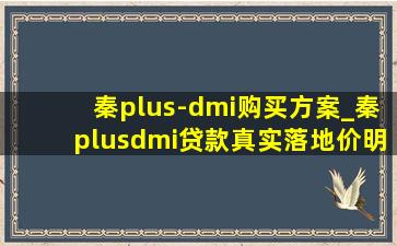 秦plus-dmi购买方案_秦plusdmi贷款真实落地价明细