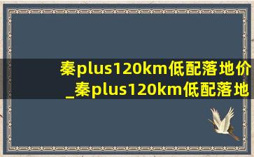 秦plus120km低配落地价_秦plus120km低配落地价24年