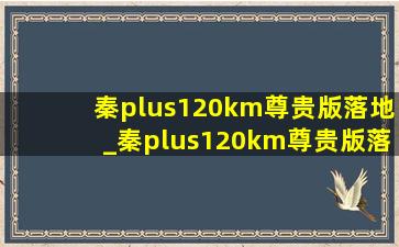 秦plus120km尊贵版落地_秦plus120km尊贵版落地价