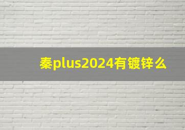 秦plus2024有镀锌么