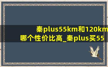 秦plus55km和120km哪个性价比高_秦plus买55km还是120km