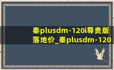 秦plusdm-120i尊贵版落地价_秦plusdm-120i尊贵版落地价格