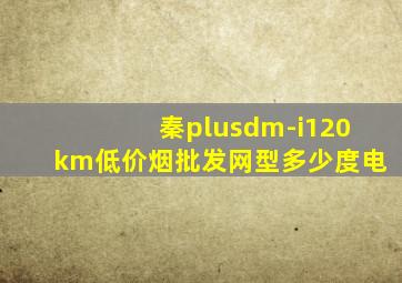 秦plusdm-i120km(低价烟批发网)型多少度电