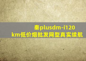 秦plusdm-i120km(低价烟批发网)型真实续航