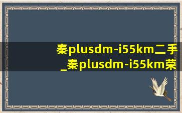 秦plusdm-i55km二手_秦plusdm-i55km荣耀版