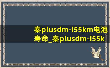 秦plusdm-i55km电池寿命_秦plusdm-i55km电池包