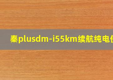 秦plusdm-i55km续航纯电使用