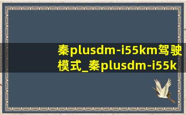 秦plusdm-i55km驾驶模式_秦plusdm-i55km加速