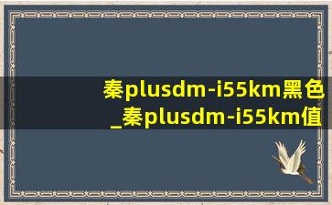 秦plusdm-i55km黑色_秦plusdm-i55km值得买吗