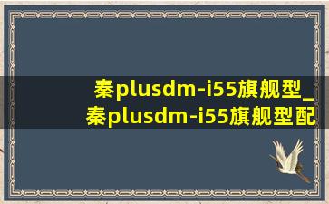 秦plusdm-i55旗舰型_秦plusdm-i55旗舰型配置