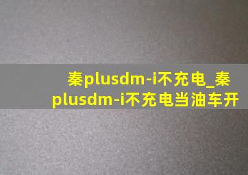 秦plusdm-i不充电_秦plusdm-i不充电当油车开