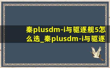 秦plusdm-i与驱逐舰5怎么选_秦plusdm-i与驱逐舰5怎么选(低价烟批发网)版