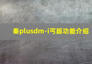 秦plusdm-i丐版功能介绍