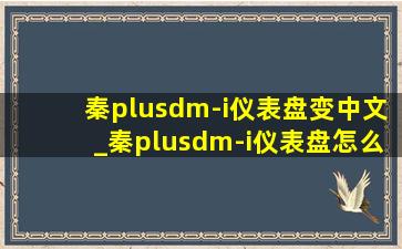 秦plusdm-i仪表盘变中文_秦plusdm-i仪表盘怎么操作