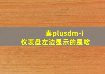 秦plusdm-i仪表盘左边显示的是啥