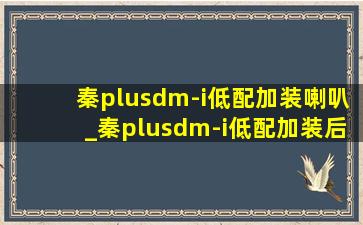 秦plusdm-i低配加装喇叭_秦plusdm-i低配加装后排出风口