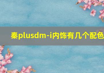 秦plusdm-i内饰有几个配色