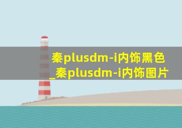 秦plusdm-i内饰黑色_秦plusdm-i内饰图片