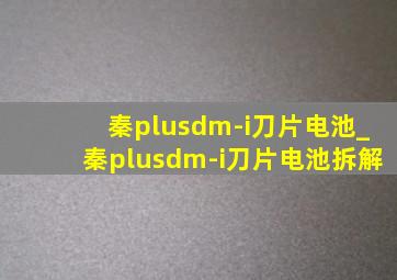 秦plusdm-i刀片电池_秦plusdm-i刀片电池拆解