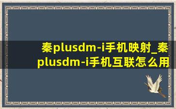 秦plusdm-i手机映射_秦plusdm-i手机互联怎么用