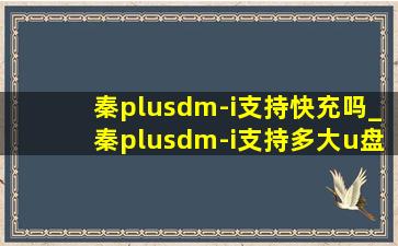 秦plusdm-i支持快充吗_秦plusdm-i支持多大u盘