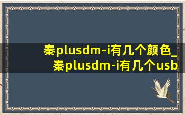 秦plusdm-i有几个颜色_秦plusdm-i有几个usb