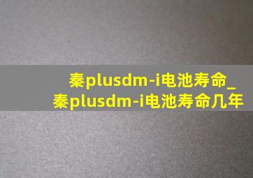 秦plusdm-i电池寿命_秦plusdm-i电池寿命几年