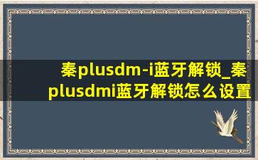 秦plusdm-i蓝牙解锁_秦plusdmi蓝牙解锁怎么设置