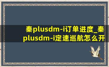 秦plusdm-i订单进度_秦plusdm-i定速巡航怎么开