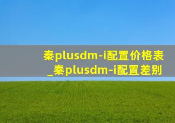 秦plusdm-i配置价格表_秦plusdm-i配置差别