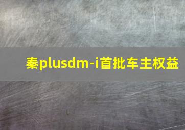 秦plusdm-i首批车主权益