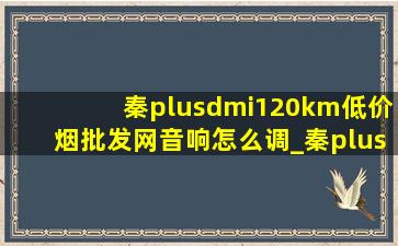 秦plusdmi120km(低价烟批发网)音响怎么调_秦plusdmi音响怎么调(低价烟批发网)