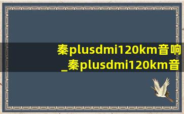 秦plusdmi120km音响_秦plusdmi120km音响怎么设置