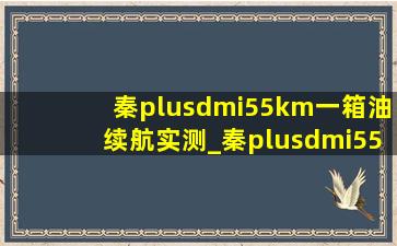 秦plusdmi55km一箱油续航实测_秦plusdmi55km满油满电续航多少