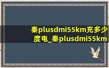 秦plusdmi55km充多少度电_秦plusdmi55km充一次电多少度