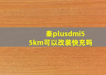 秦plusdmi55km可以改装快充吗