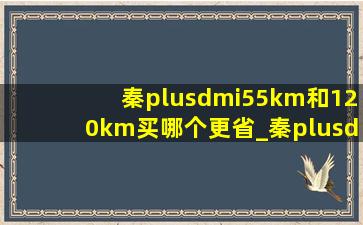 秦plusdmi55km和120km买哪个更省_秦plusdmi55km和120km买哪个